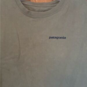 Patagonia Olive Men's Shirt size Large